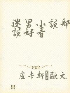 迷男小说哪部小说好看