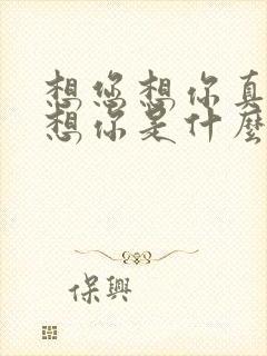 想您想你真的好想你是什么歌