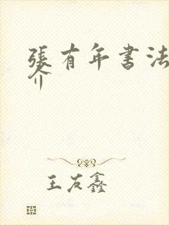 张有年书法家简介