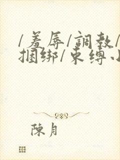 /羞辱/调教/捆绑/束缚小说