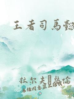 王者司马懿同人