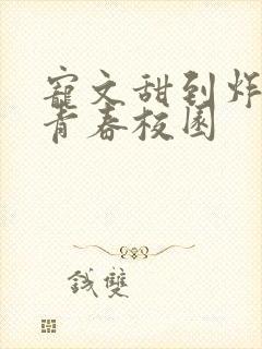 宠文甜到炸无虐青春校园