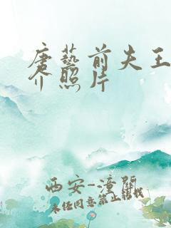 唐艺前夫王新简介照片