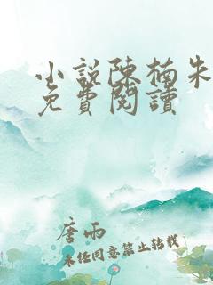 小说陈楠朱可人免费阅读