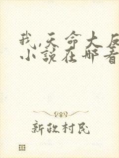 我,天命大反派小说在哪看