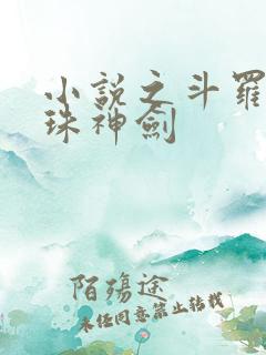 小说之斗罗之灵珠神剑