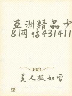 亚洲精品少妇18网站431411com
