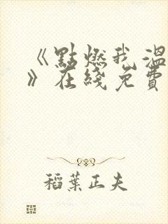 《点燃我温暖你》在线免费观看