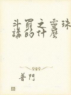 斗罗之灵珠神剑讲的什么