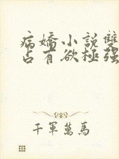 病娇小说双男主占有欲极强