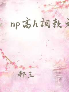 np高h调教文