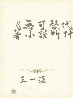 《无可替代》原著小说叫什么