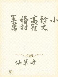 军婚高干小说推荐甜宠文