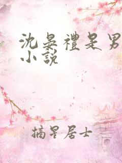 沈晏礼是男主的小说