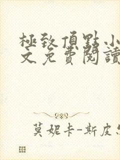 极致顶点小说全文免费阅读最新章节