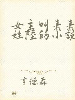 女主叫素素男主姓陆的小说
