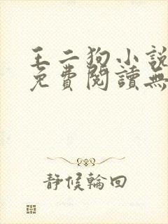 王二狗小说全文免费阅读无弹窗