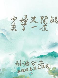 少妇叉开腿让我爽了一夜