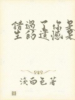 错过了你是我一生的遗憾是什么歌