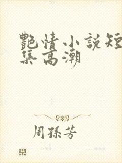 艳情小说短篇合集高潮