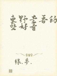 东野圭吾的书哪些好看