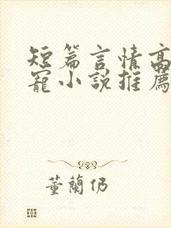 短篇言情高能甜宠小说推荐