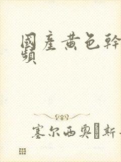 国产黄色干逼视频