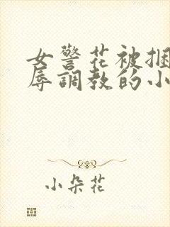 女警花被捆绑屈辱调教的小说