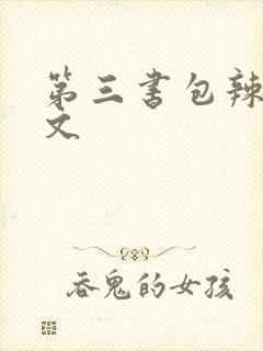 第三书包辣肉网文