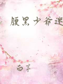 腹黑少爷迷糊妻