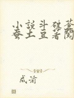 小说斗破苍穹天蚕土豆著阅读