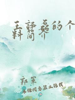 王译磊的个人资料简介