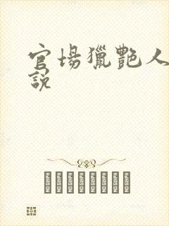 官场猎艳人妻小说