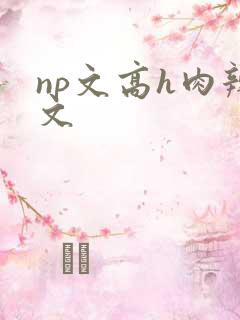 np文高h肉辣文