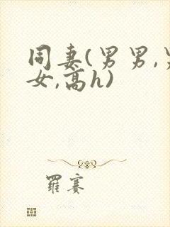 同妻(男男,男女,高h)
