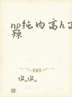 np纯肉高h高辣