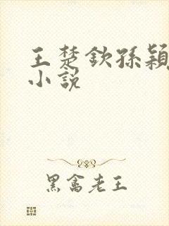 王楚钦孙颖莎的小说