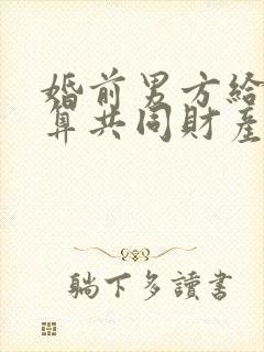 婚前男方给的钱算共同财产吗