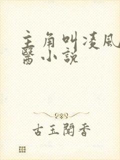 主角叫凌风的神医小说