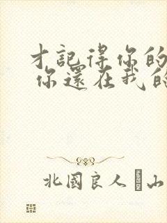 才记得你的模样 你还在我的心上