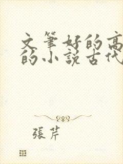 文笔好的高质量的小说古代言情推荐