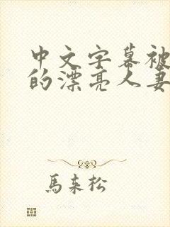 中文字幕被侵犯的漂亮人妻