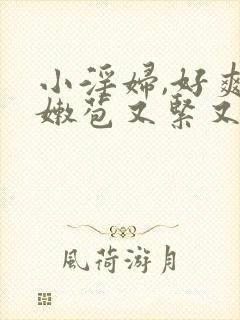 小淫妇,好爽,嫩苞又紧又嫩h