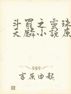 斗罗之灵珠神剑天麟小说原文免费阅读