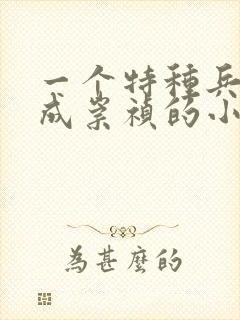 一个特种兵穿越成崇祯的小说