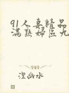 91人妻精品丰满熟妇区九色1区3区