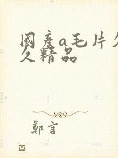 国产a毛片久久久精品