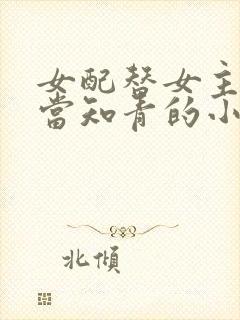 女配替女主下乡当知青的小说