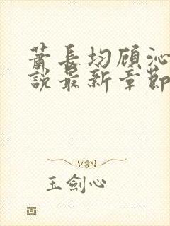 萧长均顾沁儿小说最新章节免费阅读