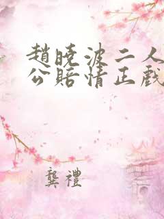 赵晓波二人转包公赔情正戏